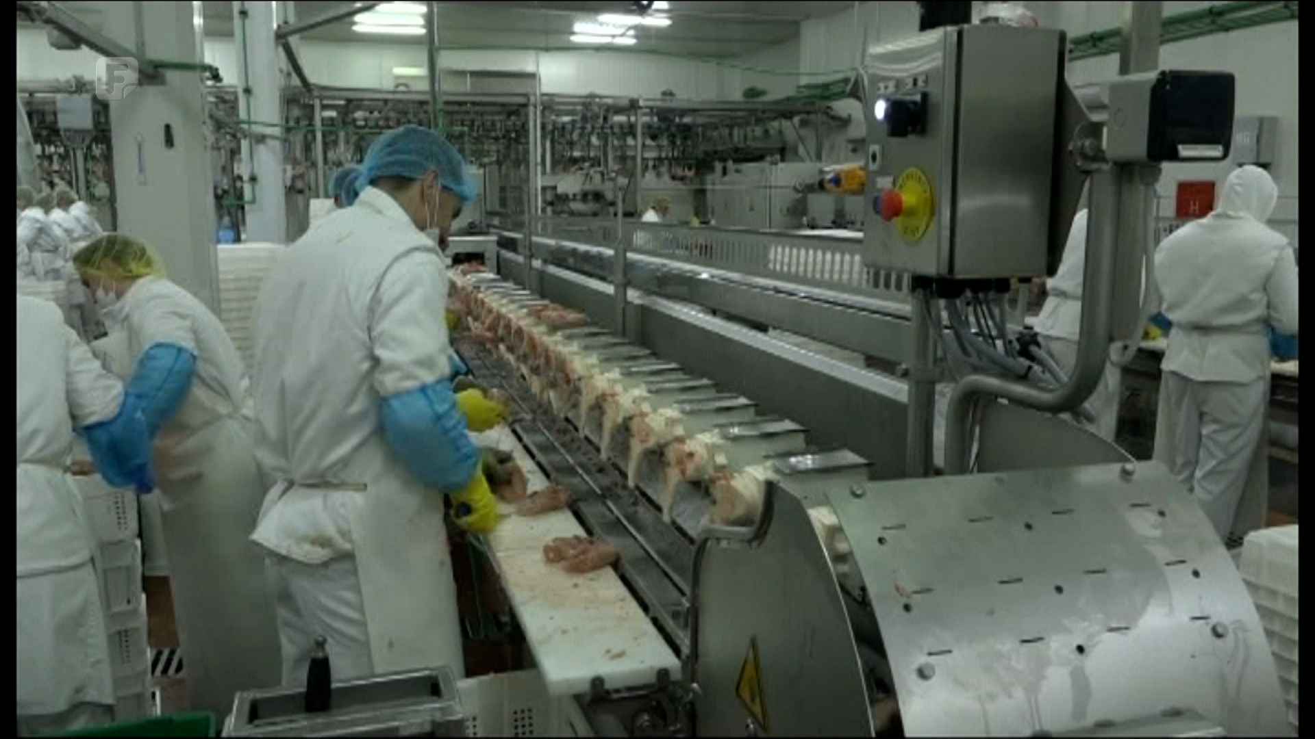 Izvoz pilećeg mesa ugrožen zbog politike